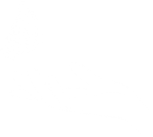 Logo Gift of Touch Schmetterling